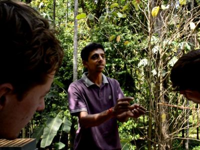 ndien Rundreise Goa Bio kologisch alternativ anders reisen