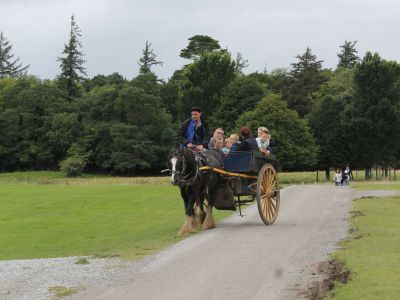 Gnnen Sie sich eine Pferdekutschen-Fahrt in Killarney.