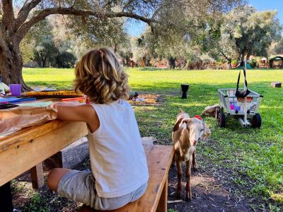 Ziege beim Kinderprogramm im Garten des Honigtals