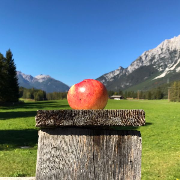 Familien-Landhotel in Tirol - sterreich