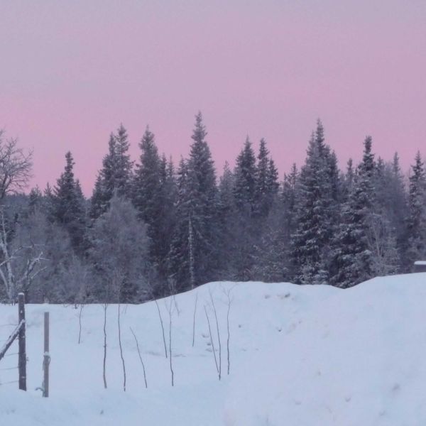 Natur pur: Winterabenteuer im Wildnisdorf - Lappland   