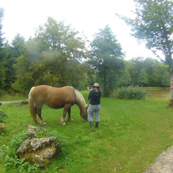 Planwagen-Urlaub in den Vogesen - Frankreich