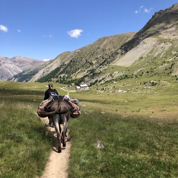 Eselwandern in Frankreich - Provence -  Sdalpen