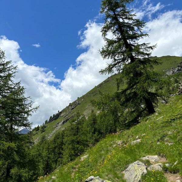 Genusswandern ohne Gepck in den Bergen des Val dAyas - Aostatal
