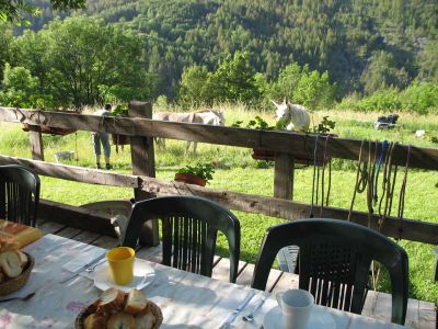 Frhstck auf der Terrasse.