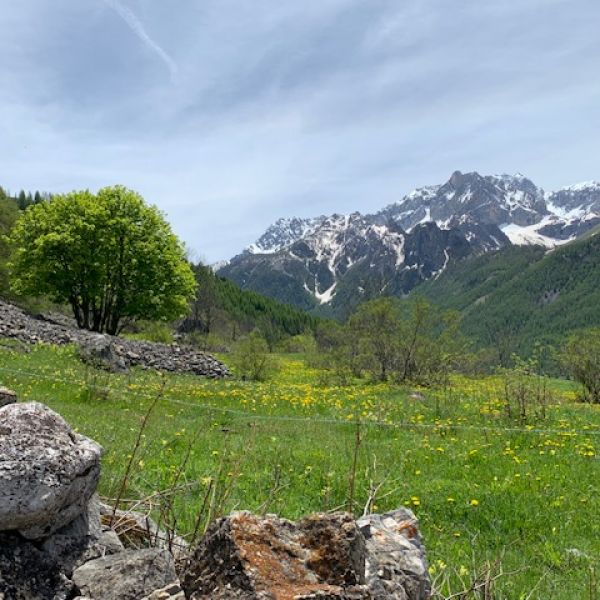 ko-Ferienwohnung im Piemont: Natururlaub im Valle Maira 