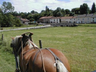Pferdewagenurlaub in Frankreich.