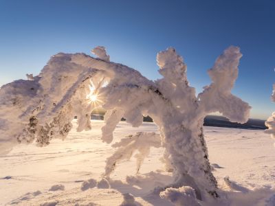 Schneekunst Familienreise Winterurlaub outdoors Schweden