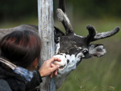 Kleine Streicheleinheiten sind ausdrcklich erlaubt (Foto: Sandra Peter und Jochen Oetinger)