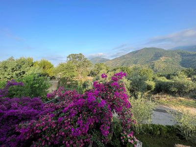aussicht geniessen panorama blick aus den ferienwohnunge 