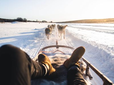 husky safari winter finnland