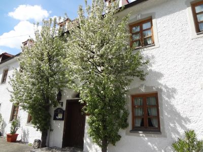 wandern mit gepcktransport bayern kloster wessobrunn