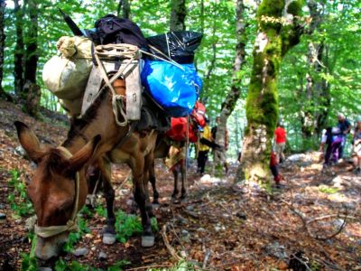 Gepäcktransport Pferd Albanien Wandern