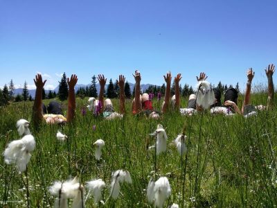 Erholungsurlaub in den Alpen in Deutschland