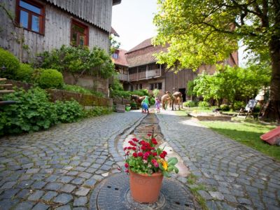 Bio-Pension in Niedersachsen fr Familien Reiturlaub