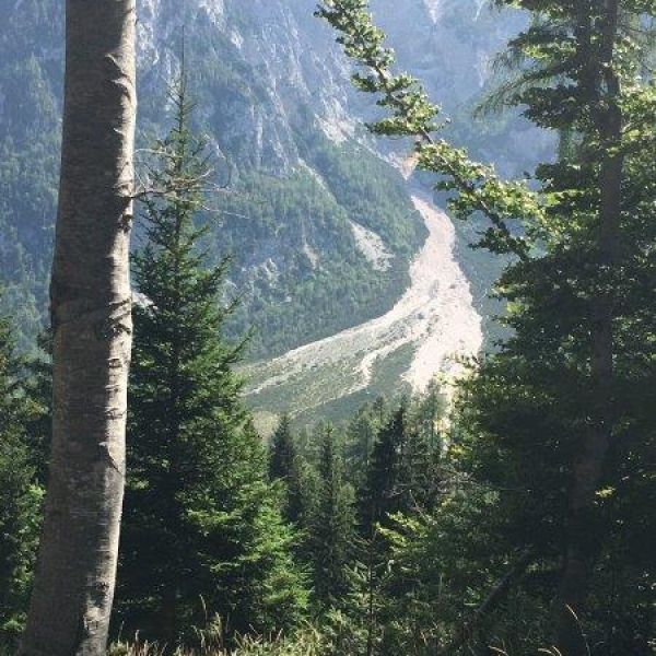 Urlaub auf dem Bio-Bauernhof im Herzen der Steiner Alpen - Slowenien