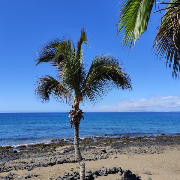 Vulkane, Sandstrnde & Meer: Familienurlaub auf Lanzarote