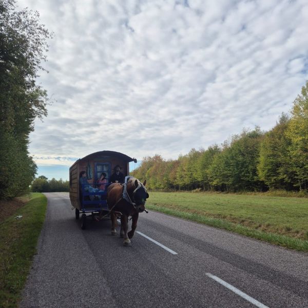 Planwagen-Urlaub in den Vogesen - Frankreich