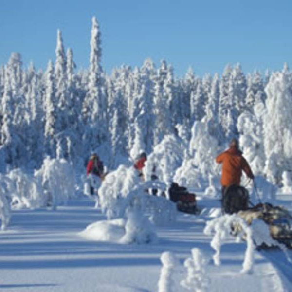 Familienurlaub in Schwedens Lappland - Winterabenteuer am Polarkreis