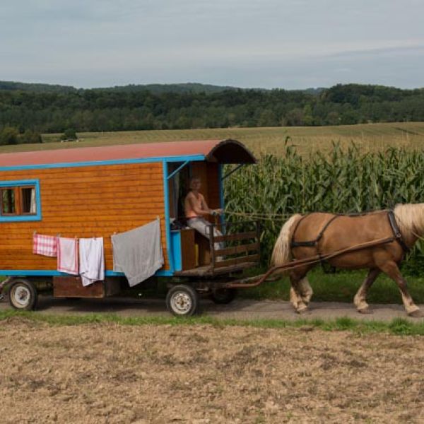 Planwagen-Urlaub in den Vogesen - Frankreich