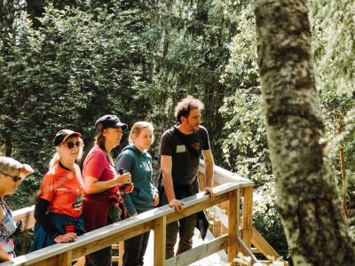 individuelle-wanderung-schwedenurlaub