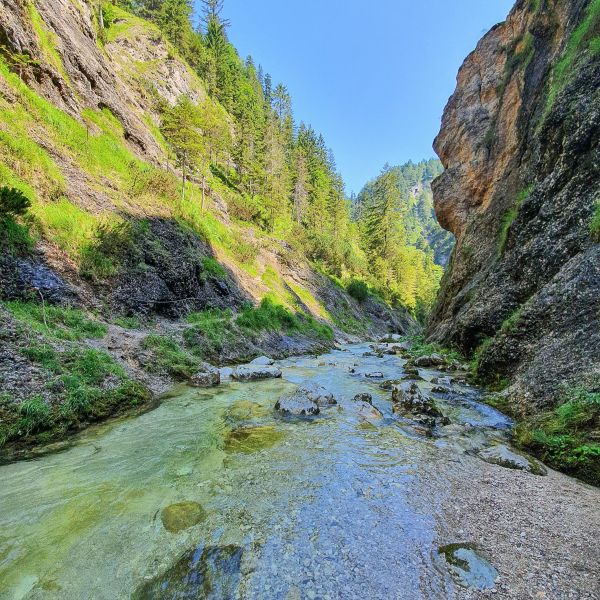 Bio-Urlaub im Thierseetal - Tirol - sterreich