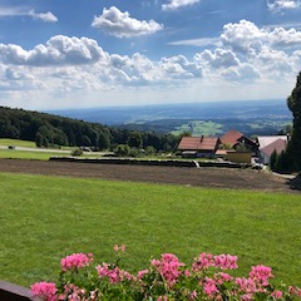 Eselwandern im Bayerischen Wald - Region Sonnenwald