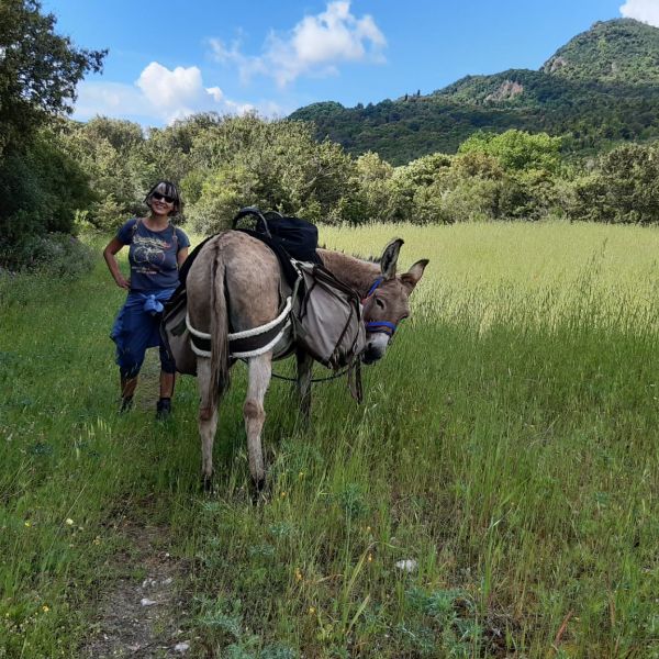 Eselwandern in der Toskana - Val di Cecina - Italien
