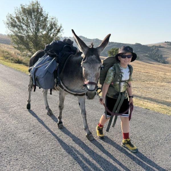 Eselwandern in der Toskana - Val di Cecina - Italien