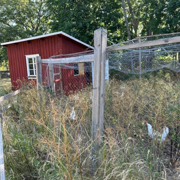 Familienurlaub auf dem Bauernhof auf land - Schweden