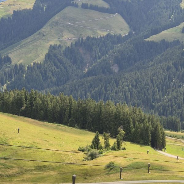 Bio-Urlaub im Thierseetal - Tirol - sterreich