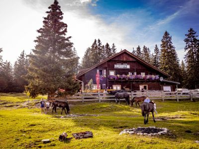 Salzkammergut Almwandern Huberhtte