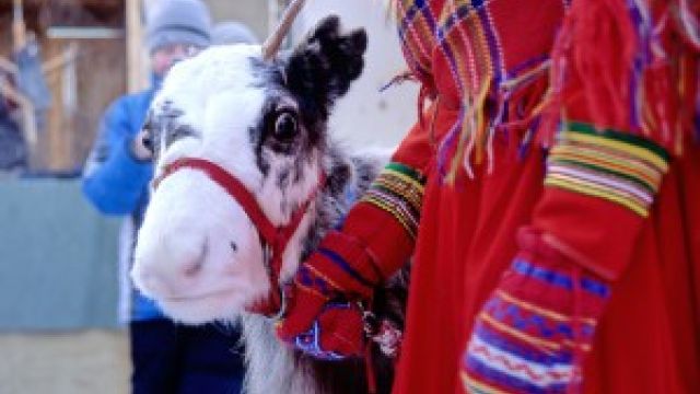 Familienreise nach Lappland ins Wildnisdorf