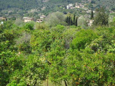 Wandern und aktiv reisen in der Natur auf Mallorca