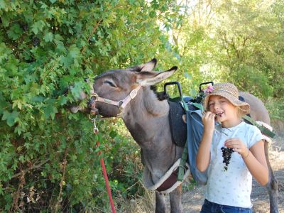 eselwandern mit kind italien toskana val di cecina