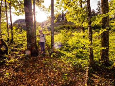 Aktiver Natururlaub Wandern durch Laubwald 