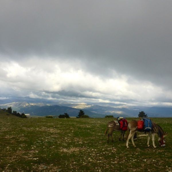Eselwandern in den Abruzzen: Trekking-Abenteuer in Italien