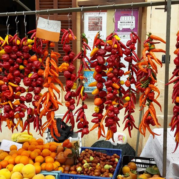 Familienhotel Cala Santanyi - Mallorca 