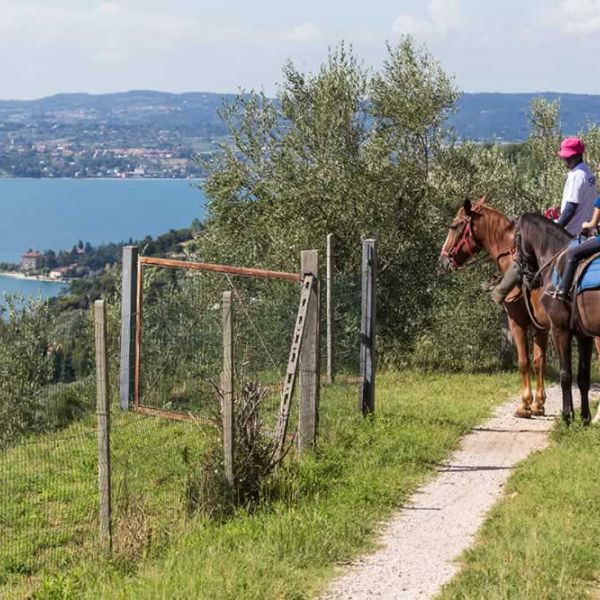 Gardasee: Urlaub auf dem Reiterhof - Italien