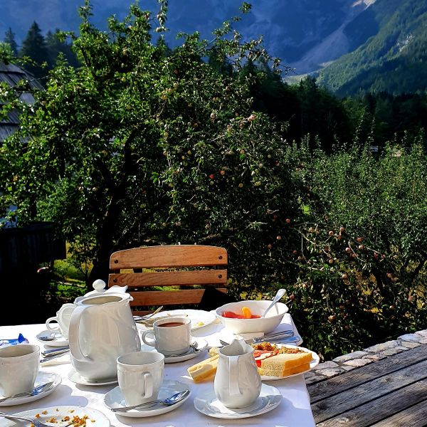 Urlaub auf dem Bio-Bauernhof im Herzen der Steiner Alpen - Slowenien