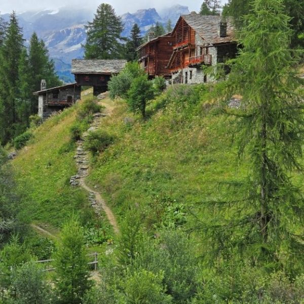 Genusswandern ohne Gepck in den Bergen des Val dAyas - Aostatal