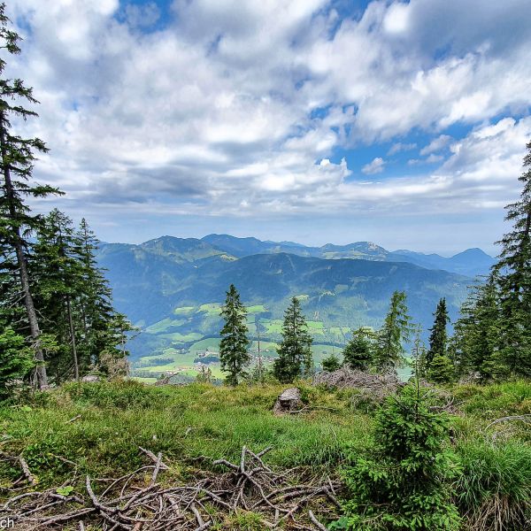 Bio-Urlaub im Thierseetal - Tirol - sterreich