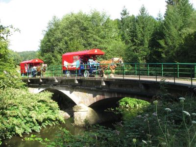 Tour im Planwagen in den Vogesen.