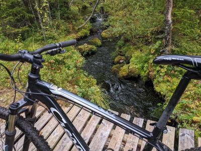 mountainbiketour aktivurlaub familie teenager schweden