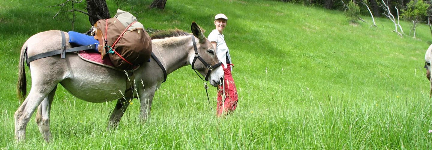 Esel Wandern reise urlaub tiere