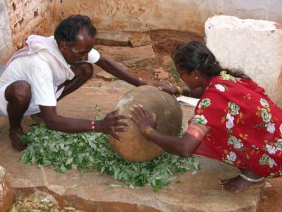 Gruppenreise Indien anders Bioverpflegung 