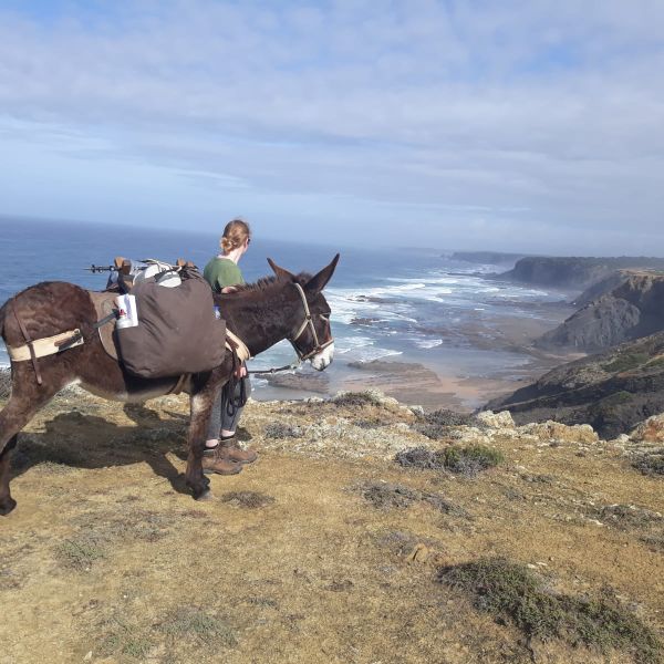 Eselwandern an der Algarve: Steilksten, Sandstrnde und wildes Hinterland - Portugal