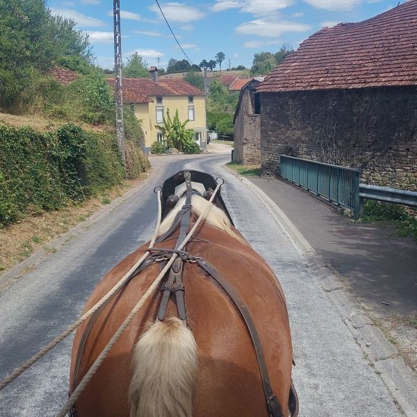 Planwagen-Urlaub in den Vogesen - Frankreich