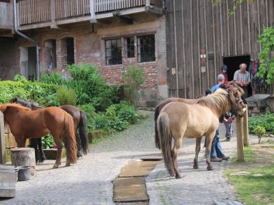 Pferdebrunnen Demeter Familienurlaub