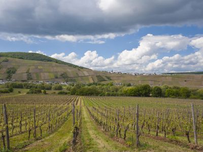 wandern ohne gepaeck eifel weingarten